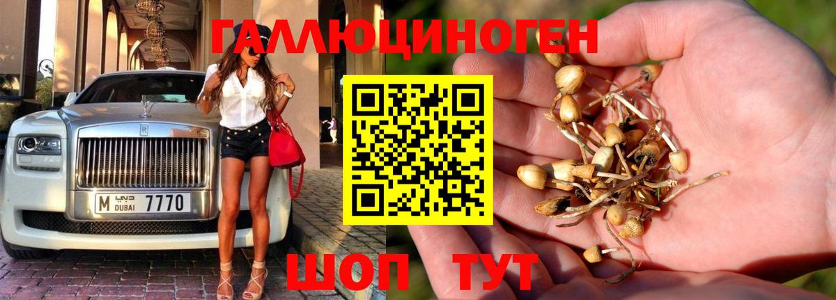Псилоцибиновые грибы MAGIC MUSHROOMS  Вход с VPN  Реутов 