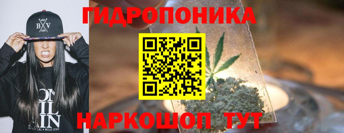 Реутов  Канабис сатива  МАРИХУАНА ГИДРОПОН  Вход с VPN  Марихуана сатива 